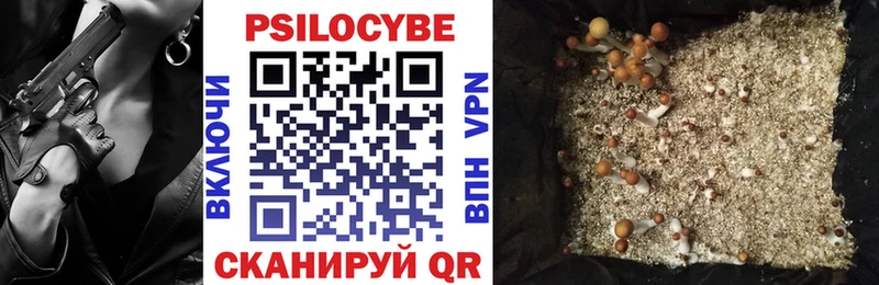 сколько стоит  Солнечногорск  Псилоцибиновые грибы Cubensis 